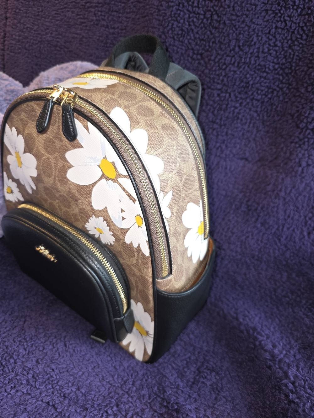 Coach Daisy Print Backpack — Brown/Black/White - Picture 7 of 8